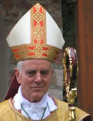 Mgr Williamson